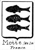 motte Coat of Arms / Family Crest 18