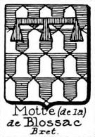 motte Coat of Arms / Family Crest 33