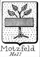 Motzfeldt Coat of Arms / Family Crest 0