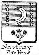 Natthey Coat of Arms / Family Crest 0