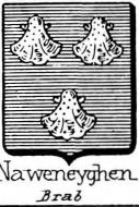 Naweneyghen Coat of Arms / Family Crest 0