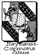 Nayhauss Coat of Arms / Family Crest 1