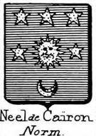 Neel Coat of Arms / Family Crest 2