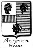 Negrina