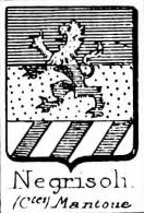 Negrisoli Coat of Arms / Family Crest 1