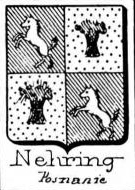 Nehring Coat of Arms / Family Crest 0
