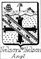 Nelson Coat of Arms / Family Crest 2
