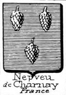 Nepveu Coat of Arms / Family Crest 2
