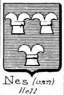 Nes Coat of Arms / Family Crest 2