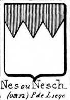 Nes Coat of Arms / Family Crest 3