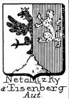 Netolitzky Coat of Arms / Family Crest 1