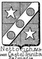 Nettovich Coat of Arms / Family Crest 0