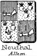 Neuthal Coat of Arms / Family Crest 0
