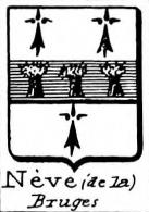 Neve Coat of Arms / Family Crest 8