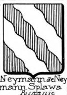 Neymann Coat of Arms / Family Crest 0