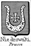Niedrowski Coat of Arms / Family Crest 0