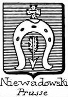 Niewadowski Coat of Arms / Family Crest 0