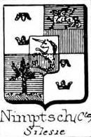 Nimptsch Coat of Arms / Family Crest 9