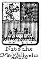 Nitsche Coat of Arms / Family Crest 1