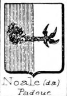 Noale Coat of Arms / Family Crest 0