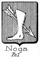 Noga Coat of Arms / Family Crest 0
