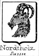Nordtholz Coat of Arms / Family Crest 0