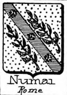 Numai Coat of Arms / Family Crest 0