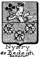 Nyary Coat of Arms / Family Crest 4