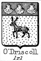 ODriscoll Coat of Arms / Family Crest 0