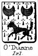ODuane Coat of Arms / Family Crest 0