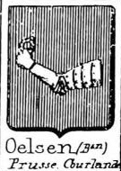 Oelsen Coat of Arms / Family Crest 0