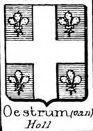 Oestrum Coat of Arms / Family Crest 0