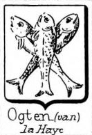 Ogten Coat of Arms / Family Crest 0