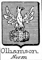 Oilliamson Coat of Arms / Family Crest 0