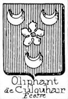 Oliphant Coat of Arms / Family Crest 2