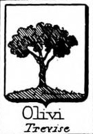 Olivi Coat of Arms / Family Crest 0