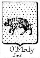 OMaly Coat of Arms / Family Crest 0
