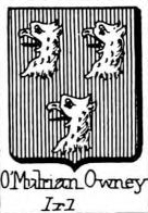 OMulrian Coat of Arms / Family Crest 0