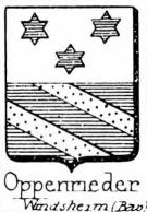 Oppenrieder Coat of Arms / Family Crest 0