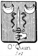 OQuin Coat of Arms / Family Crest 0