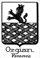 Orgian Coat of Arms / Family Crest 1