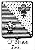 OShee Coat of Arms / Family Crest 0
