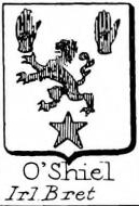 OShiel Coat of Arms / Family Crest 0