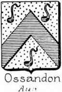 Ossandon Coat of Arms / Family Crest 2