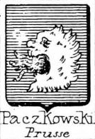 Paczkowski Coat of Arms / Family Crest 2