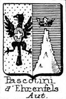Pascotini Coat of Arms / Family Crest 0