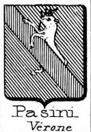 Pasini Coat of Arms / Family Crest 12