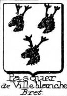 Pasquer Coat of Arms / Family Crest 0
