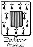 Patay Coat of Arms / Family Crest 2