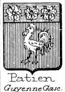 Patien Coat of Arms / Family Crest 0